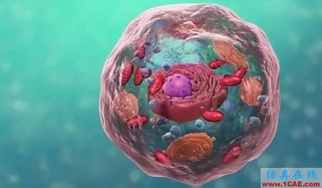 【資訊】強勢圍觀！Science公布的125個科學前沿問題!圖片77