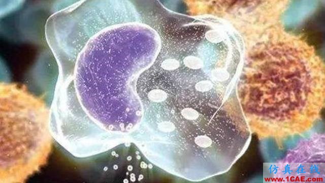【資訊】強勢圍觀！Science公布的125個科學前沿問題!圖片62