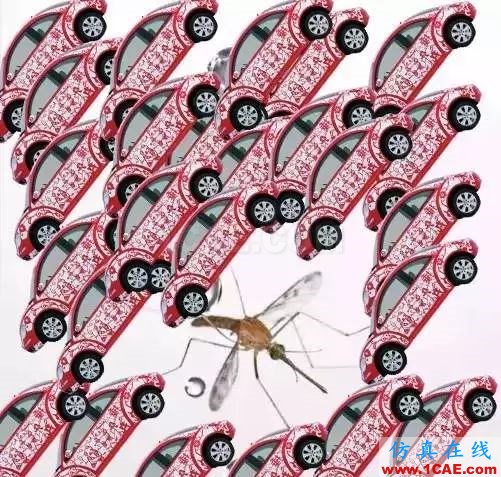 為什么蚊子永遠不會被雨砸死？千萬別被孩子問住了！fluent分析案例圖片6