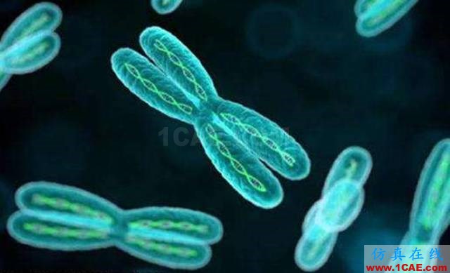 【資訊】強勢圍觀！Science公布的125個科學前沿問題!圖片101