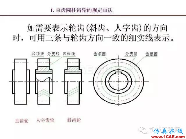 【專業(yè)積累】80頁(yè)P(yáng)PT讓你全面掌握工程圖中的標(biāo)準(zhǔn)件和常用件機(jī)械設(shè)計(jì)圖片69