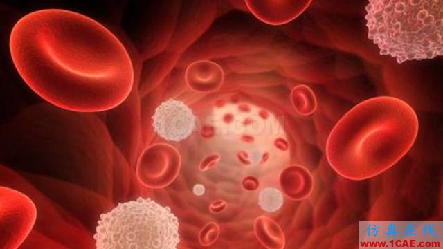 【資訊】強勢圍觀！Science公布的125個科學前沿問題!圖片80