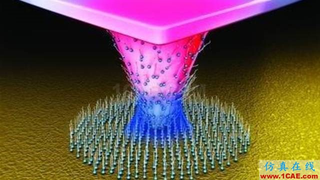 【資訊】強勢圍觀！Science公布的125個科學前沿問題!圖片18