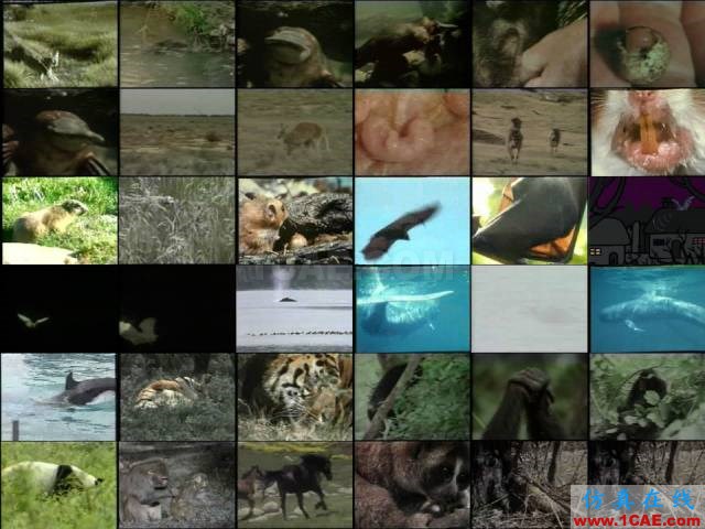 【資訊】強勢圍觀！Science公布的125個科學前沿問題!圖片13