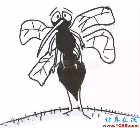 為什么蚊子永遠不會被雨砸死？千萬別被孩子問住了！fluent圖片17