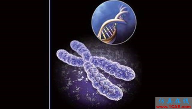 【資訊】強勢圍觀！Science公布的125個科學前沿問題!圖片4