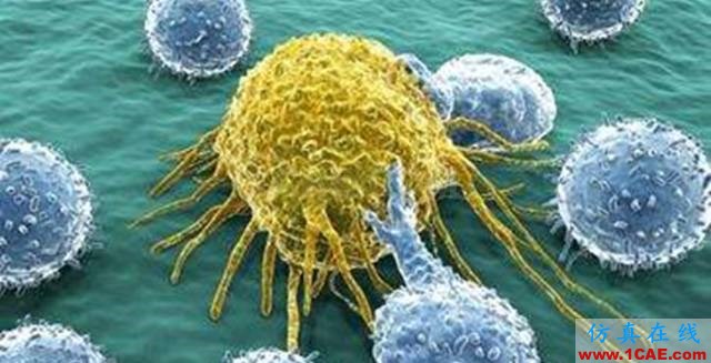 【資訊】強勢圍觀！Science公布的125個科學前沿問題!圖片75