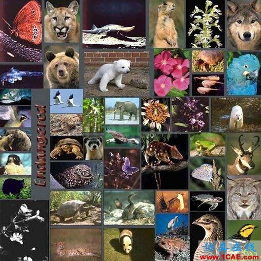 【資訊】強勢圍觀！Science公布的125個科學前沿問題!圖片99