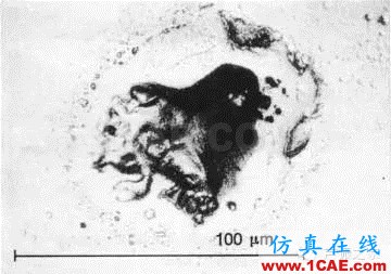 SKF軸承失效分析：失效形式、特征及可能原因機(jī)械設(shè)計圖片49