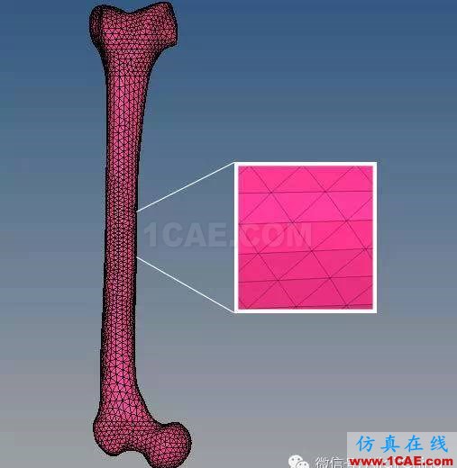 利用HyperWorks實(shí)現(xiàn)對運(yùn)動撞擊情景的精確仿真建模abaqus有限元仿真圖片2