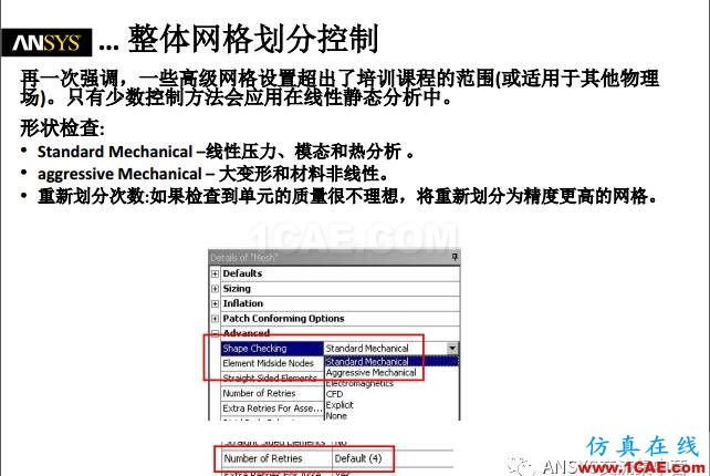ansys技術(shù)專題之 網(wǎng)格劃分ansys圖片11