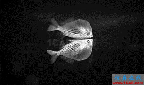 【資訊】強勢圍觀！Science公布的125個科學前沿問題!圖片58