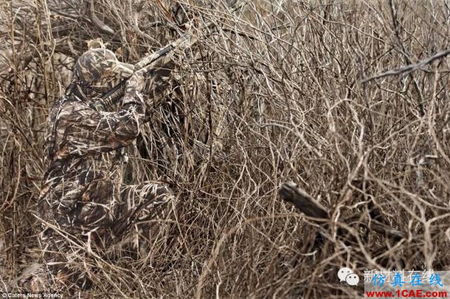 在你看不到的地方:隱身涂料的應(yīng)用分類ADS電磁培訓(xùn)教程圖片5
