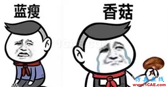 什么？軟件不會(huì)！藍(lán)瘦、香菇！快來(lái)MIDAS學(xué)習(xí)啦！~MIDAS 2016 新疆橋梁技術(shù)交流會(huì)Midas Civil分析案例圖片2