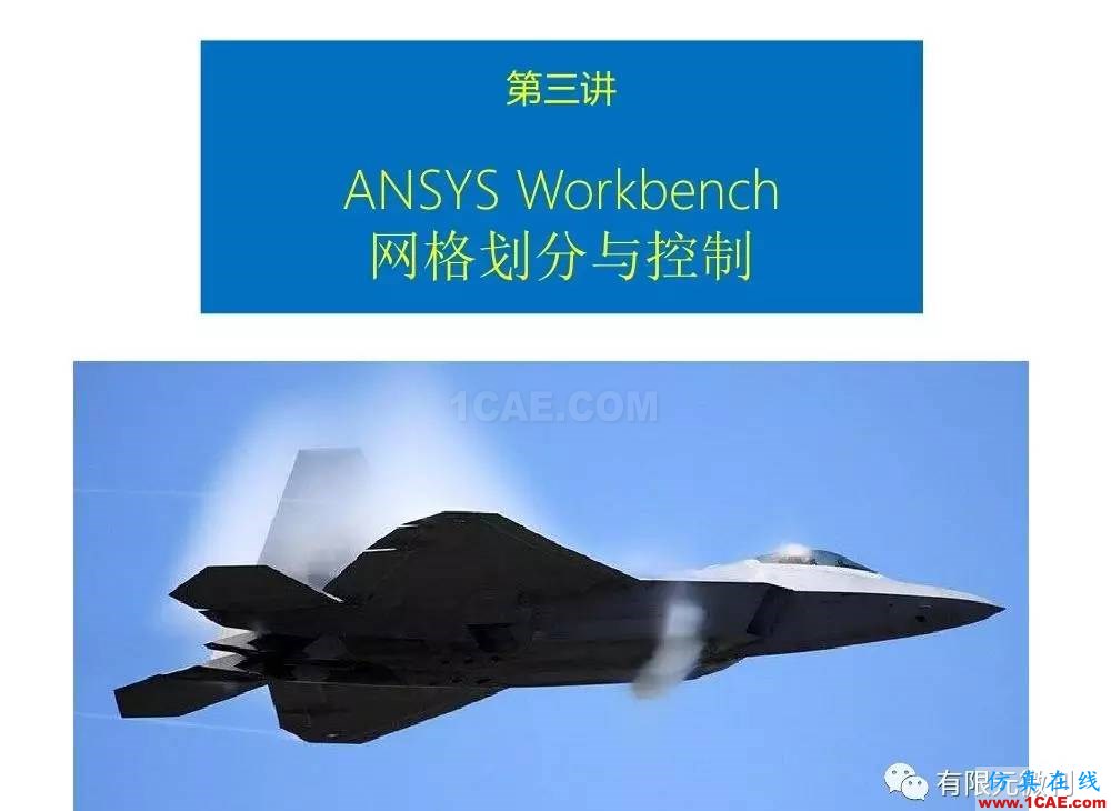 【有限元培訓三】ANSYS-Workbench網(wǎng)格劃分ansys分析案例圖片4