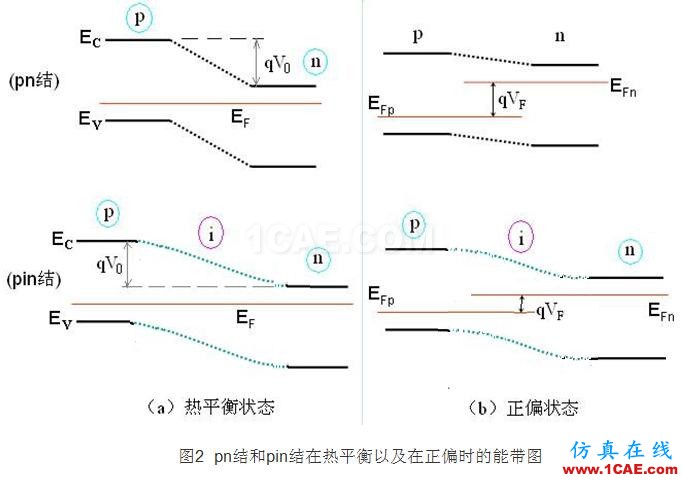 PIN結(jié)與PN結(jié)的特性比較 - 學(xué)習(xí) - 學(xué)習(xí)、學(xué)習(xí)、再學(xué)習(xí)