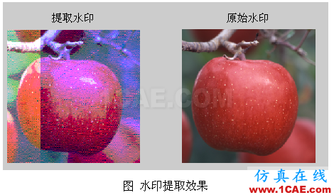 代做畢業(yè)設(shè)計(jì)-MATLAB的條碼、車(chē)牌、指紋、圖像識(shí)別-QQ572426200