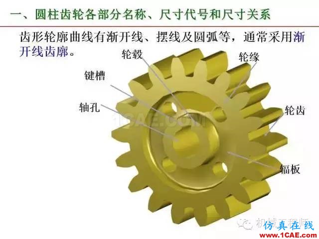 【專業(yè)積累】80頁(yè)P(yáng)PT讓你全面掌握工程圖中的標(biāo)準(zhǔn)件和常用件機(jī)械設(shè)計(jì)圖例圖片64