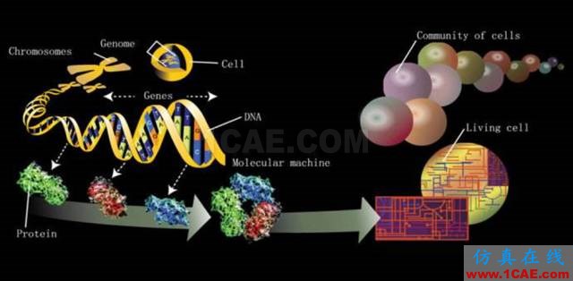 【資訊】強勢圍觀！Science公布的125個科學前沿問題!圖片61