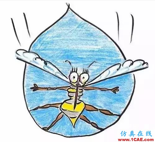 為什么蚊子永遠不會被雨砸死？千萬別被孩子問住了！fluent流體分析圖片12