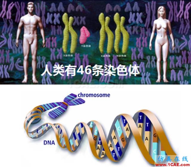 【資訊】強勢圍觀！Science公布的125個科學前沿問題!圖片3
