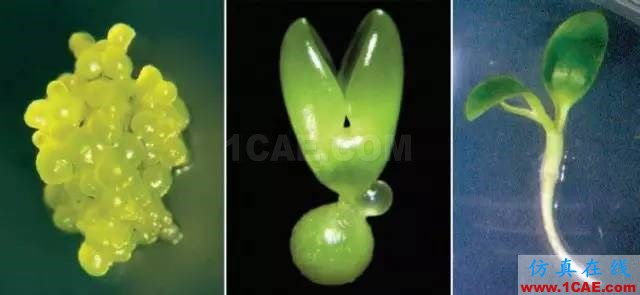 【資訊】強勢圍觀！Science公布的125個科學前沿問題!圖片9